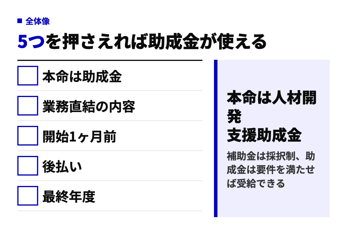 AI研修に補助金・助成金を使うときの5つの要点。本命は人材開発支援助成金、研修は業務直結の内容、計画届は開始1ヶ月前、支給は後払い、リスキリング支援コースは最終年度という判定図。